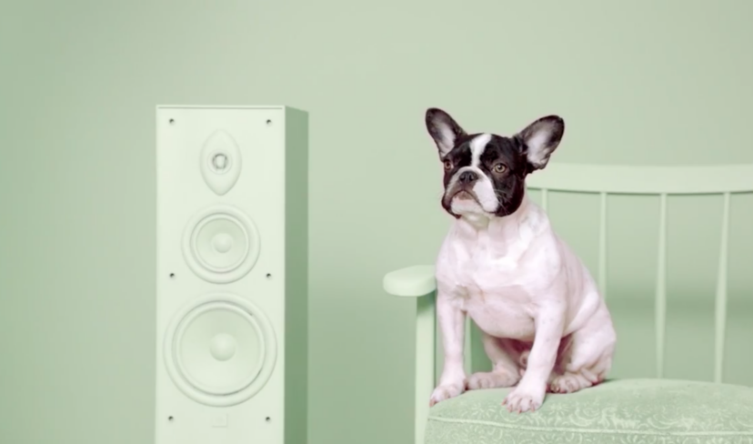 Adoptify metronome news